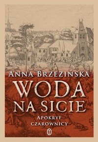 Woda na sicie - Anna Brzezińska - ebook