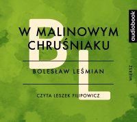 W malinowym chruśniaku - Bolesław Leśmian - audiobook