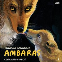 Ambaras - Tomasz Samojlik - audiobook