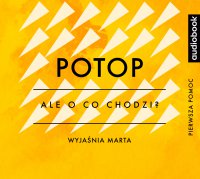 Potop - Opracowanie - Ale o co chodzi? - podcast - Joanna Jaźwińska - audiobook