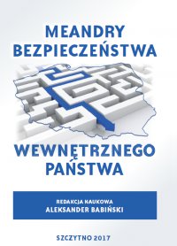 Meandry bezpieczeństwa wewnętrznego państwa - Aleksander Babiński - ebook