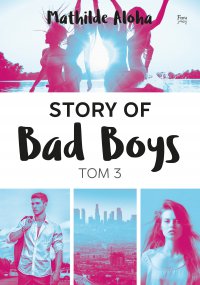 Story of Bad Boys 3 - Mathilde Aloha - ebook