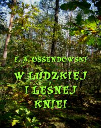 W ludzkiej i leśnej kniei - Antoni Ferdynand Ossendowski - ebook