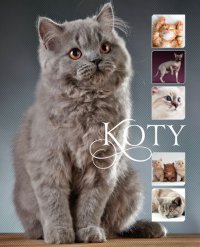 Koty - Karolina Matoga - ebook