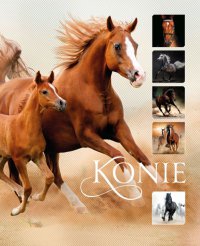 Konie - Ewa Walkowicz - ebook