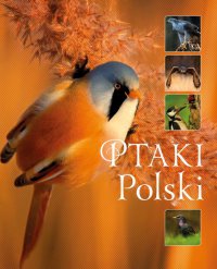 Ptaki Polski (Wyd. 2016) - Karolina Matoga - ebook