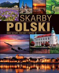 Skarby Polski - Anna Willman - ebook