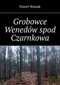 Grobowce Wenedów spod Czarnkowa - Paweł Wasiak - ebook