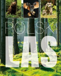 Polski las - Joanna Kapusta - ebook