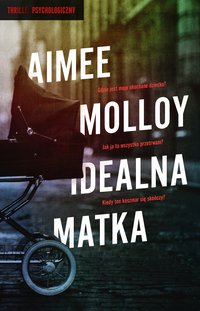 Idealna matka - Aimee Molloy - ebook