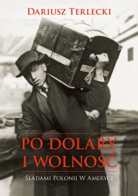 Po dolary i wolność - Dariusz Terlecki - ebook
