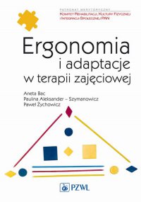 Ergonomia i adaptacje w terapii zajęciowej - Paweł Żychowicz - ebook