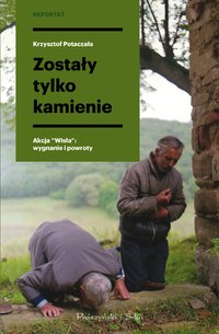 Zostały tylko kamienie - Krzysztof Potaczała - ebook