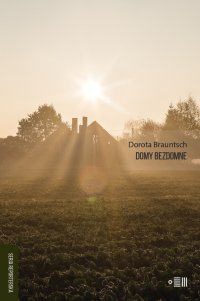 Domy bezdomne - Dorota Brauntsch - ebook