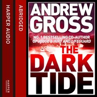 Dark Tide - Andrew Gross - audiobook