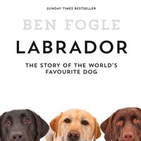 Labrador - Ben Fogle - audiobook