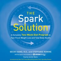 Spark Solution - Meg Galvin - audiobook