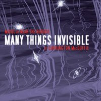 Many Things Invisible - Carrington MacDuffie - audiobook