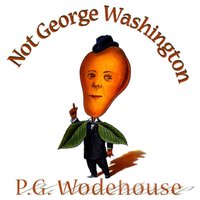 Not George Washington - P. G. Wodehouse - audiobook