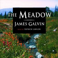 Meadow - James Galvin - audiobook