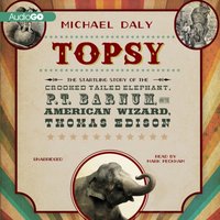 Topsy - Michael Daly - audiobook