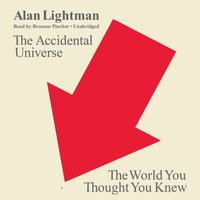 Accidental Universe - Alan Lightman - audiobook