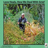 Love Heals - Miles O'Brien Riley - audiobook