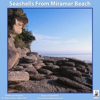 Seashells from Miramar Beach - Miles O'Brien Riley - audiobook