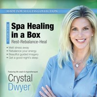 Spa Healing in a Box - Made for Success - audiobook