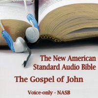 The Gospel of John - Opracowanie zbiorowe - audiobook