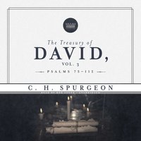 Treasury of David, Vol. 3 - C.H. Spurgeon - audiobook