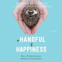 Handful of Happiness - Massimo Vacchetta - audiobook