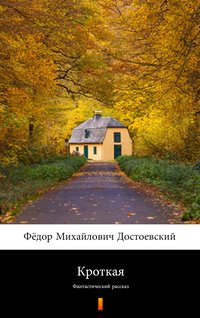 Кроткая (Łagodna) - Fiodor Dostojewski - ebook