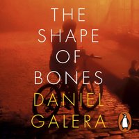 Shape of Bones - Daniel Galera - audiobook