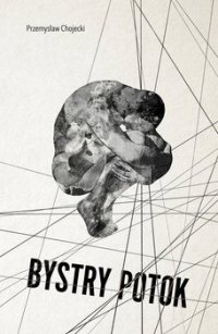 Bystry potok - Przemysław Chojecki - ebook