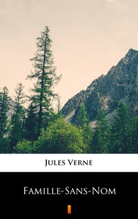 Famille-Sans-Nom - Jules Verne - ebook