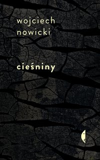 Cieśniny - Wojciech Nowicki - ebook