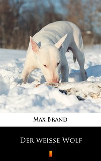 Der weiße Wolf - Max Brand - ebook
