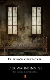 Der Wahnsinnige - Friedrich Gerstäcker - ebook