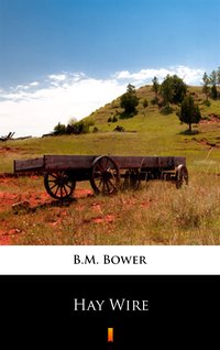 Hay Wire - B.M. Bower - ebook