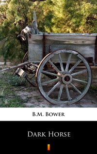 Dark Horse - B.M. Bower - ebook