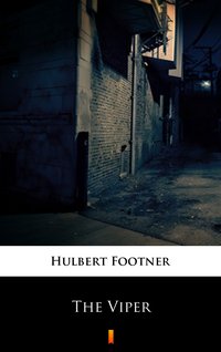 The Viper - Hulbert Footner - ebook