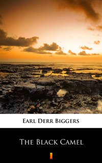 The Black Camel - Earl Derr Biggers - ebook