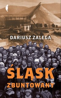 Śląsk zbuntowany - Dariusz Zalega - ebook