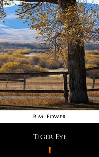 Tiger Eye - B.M. Bower - ebook