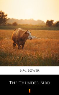 The Thunder Bird - B.M. Bower - ebook
