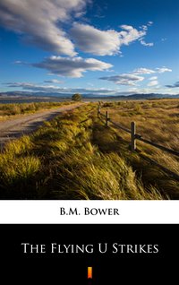 The Flying U Strikes - B.M. Bower - ebook