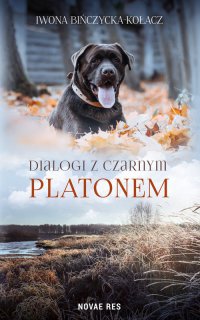 Dialogi z czarnym Platonem - Iwona Bińczycka-Kołacz - ebook