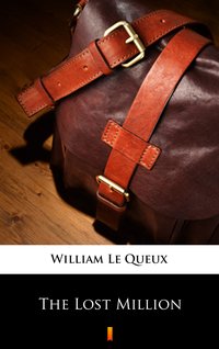 The Lost Million - William Le Queux - ebook