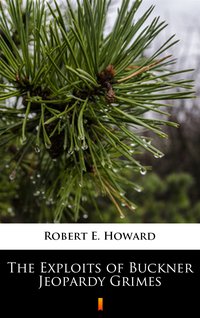 The Exploits of Buckner Jeopardy Grimes - Robert E. Howard - ebook